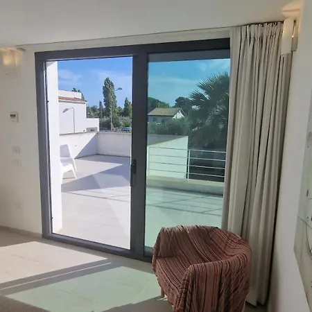 Cocus